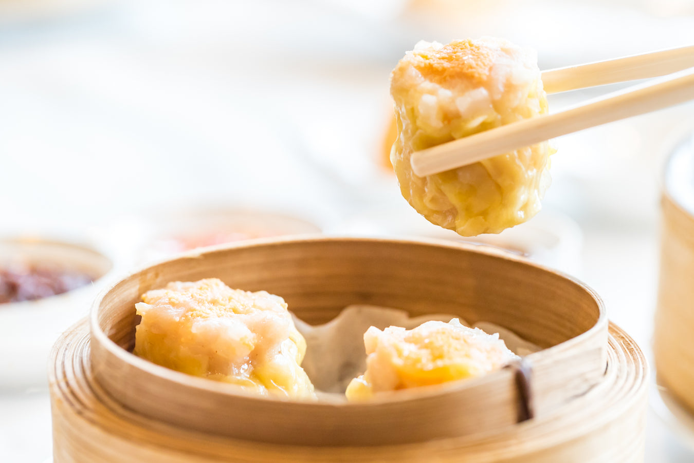 ASIAN FROZEN DUMPLINGS