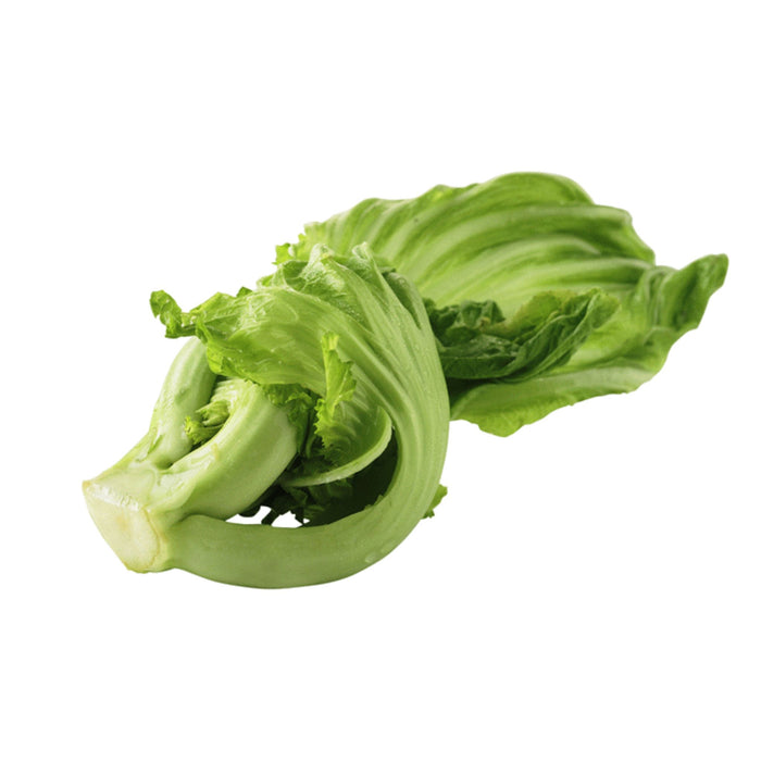 FRESH CHINESE KAI CHOI 500G 芥菜 (DISPATCHED MONDAY - THURSDAY)