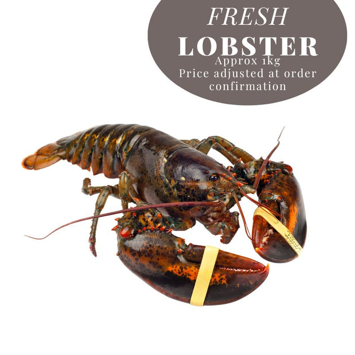 FRESH LOBSTER WEIGHTED - APPROX 1KG - NOTTINGHAM DELIVERY ONLY 新鮮龍蝦