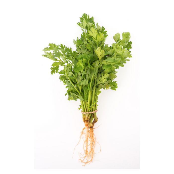 FRESH THAI CORIANDER WITH ROOT APPROX 100G 新鮮泰國芫茜(帶根) (Dispatched Monday - Thursday)