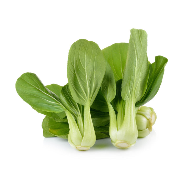 FRESH SHANGHAI GREEN PAK CHOI APPROX 500G 新鮮上海青白菜 (Dispatched Monday - Thursday)
