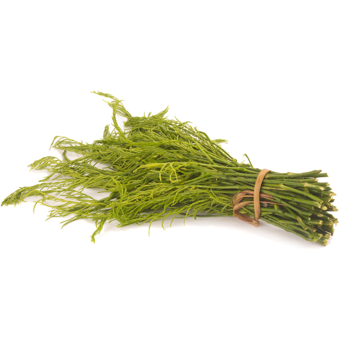 FRESH THAI CHA OM ACACIA LEAF 100G (Dispatched Monday - Thursday)