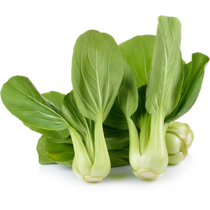 FRESH SHANGHAI GREEN PAK CHOI - APPROX 500G 新鮮白菜苗 - Dispatched Monday To Thursday