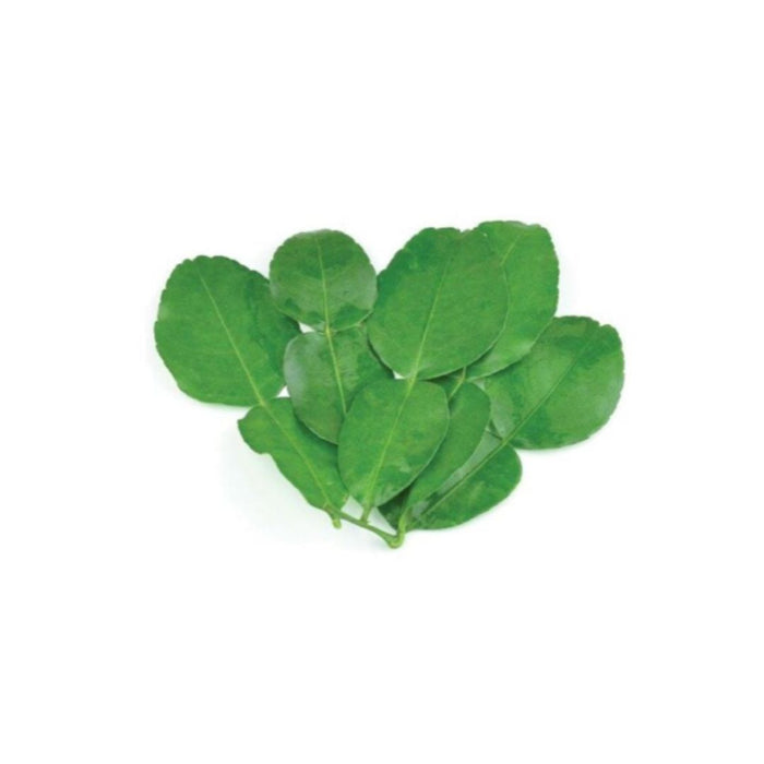 FRESH THAI KAFFIR LIME LEAF 50G (dispatched Monday - Thursday)