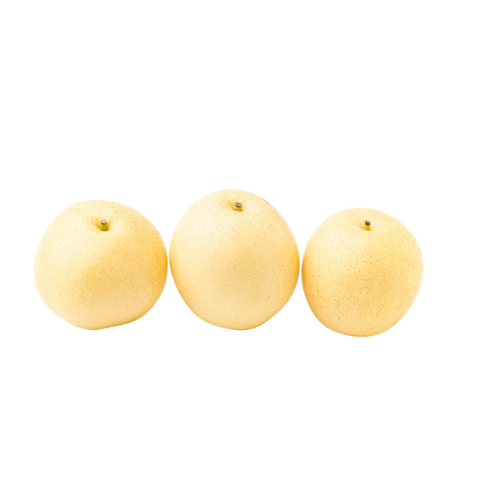 CENTURY PEAR 皇冠梨, PACK OF 3