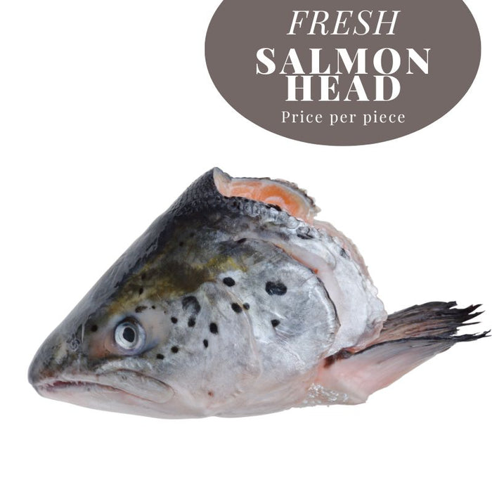 FRESH SALMON HEAD SINGLE - NOTTINGHAM DELIVERY ONLY! 新鮮三文魚頭