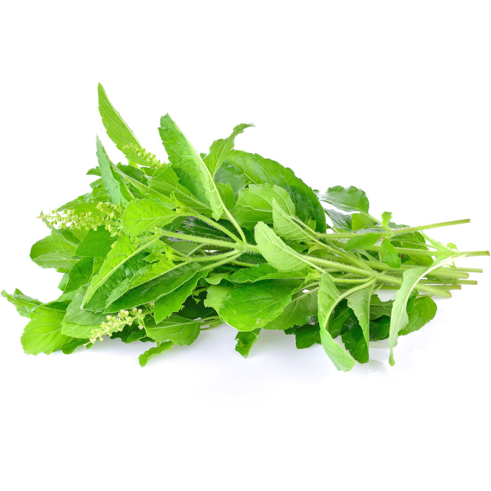 FRESH THAI HOLY BASIL 100G 新鮮泰國聖羅勒 (Dispatched Monday - Thursday)