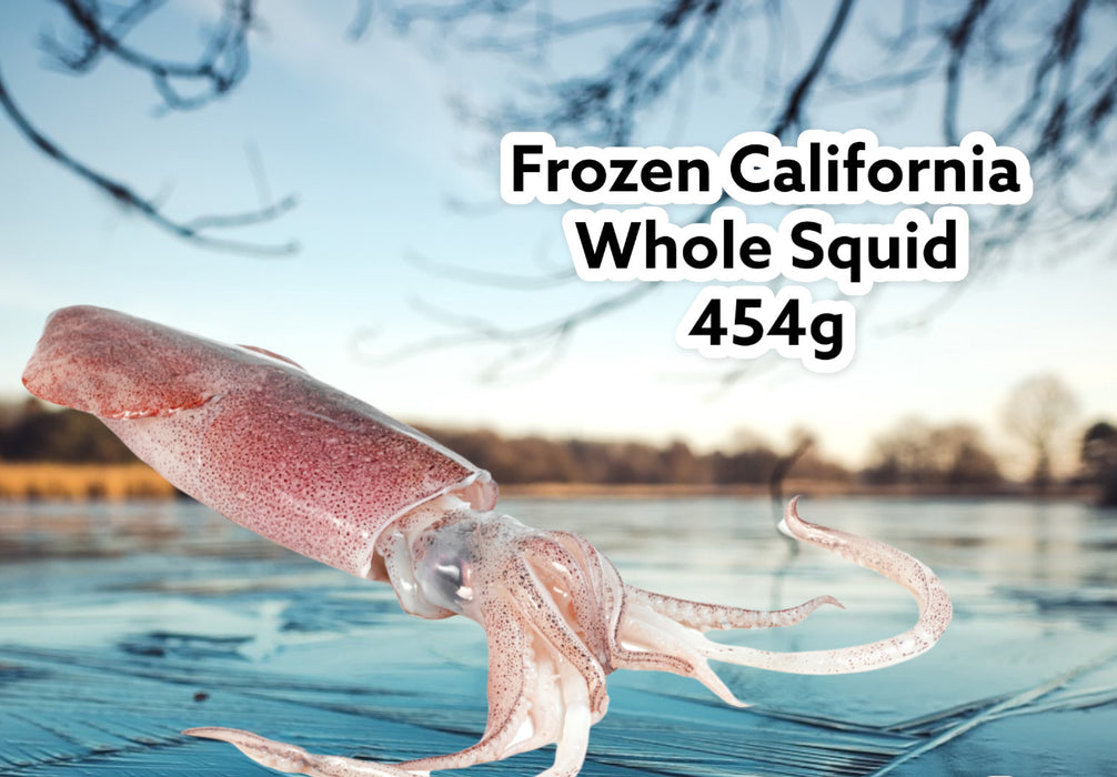 CALIFORNIAN WHOLE SQUID 454G