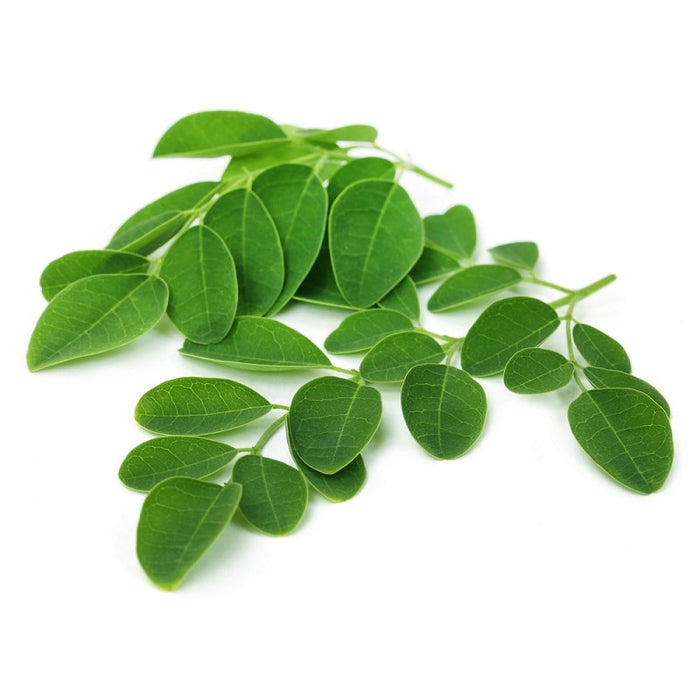 MORINGA DRUMSTICK LEAF / MA RUM LEAF 200G (Dispatched Monday - Thursday)