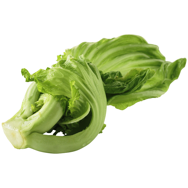 FRESH KAI CHOI - APPROX 500G - Dispatched Monday To Thursday
