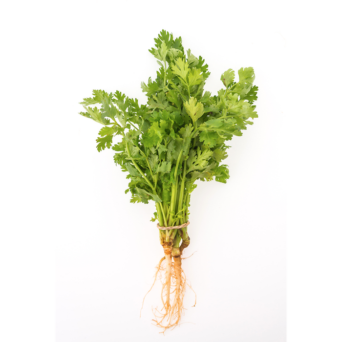 FRESH THAI CORIANDER WITH ROOT APPROX 100G 新鮮泰國芫茜(帶根) (Dispatched Monday - Thursday)