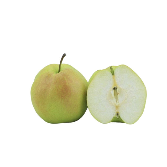 YU LU FRAGRANT PEAR 玉露香梨, PACK OF 3