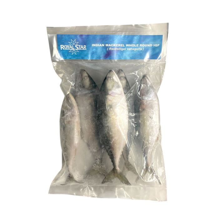 ROYAL STAR INDIAN MACKEREL 1KG