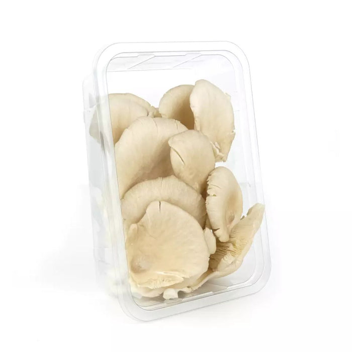 FRESH OYSTER MUSHROOM APPROX. 340G (Dispatched Monday - Thursday)