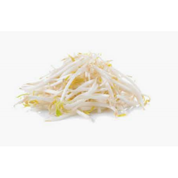 FRESH BEANSPROUTS 350G 新鮮芽菜 (Dispatched Monday - Thursday)