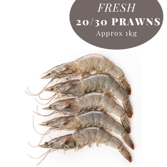 FRESH 20/30 PRAWNS WEIGHTED - APPROX 1KG - NOTTINGHAM DELIVERY ONLY! 新鮮蝦