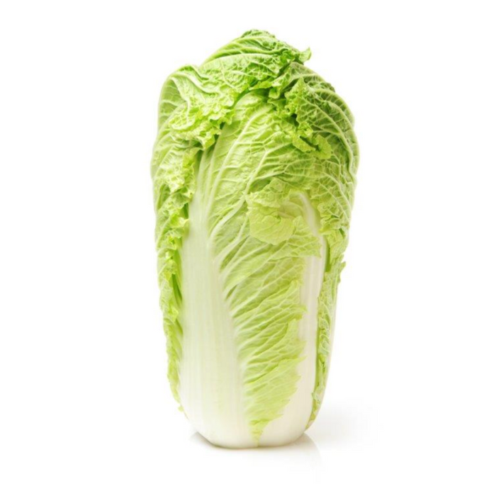 FRESH CHINESE LEAF 1 PIECE 新鲜大白菜 周一至周四发货