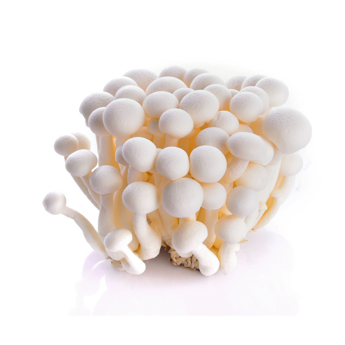 WHITE SHII-MEJI MUSHROOM (APPROX 150G) - Dispatched Monday To Thursday