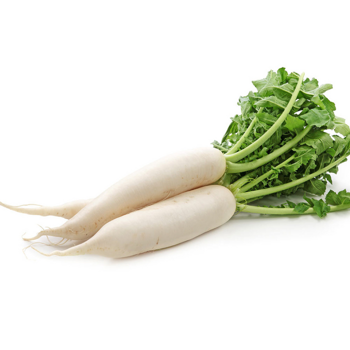 MOOLI APPROX 700G（週一至週四出貨）