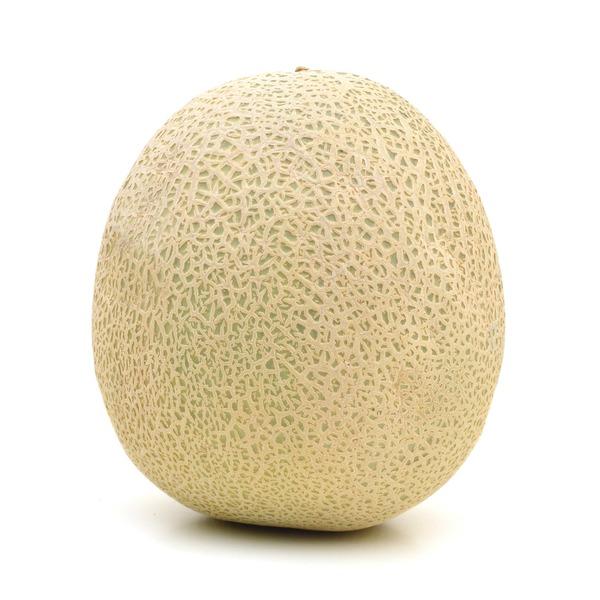 FRESH MELON