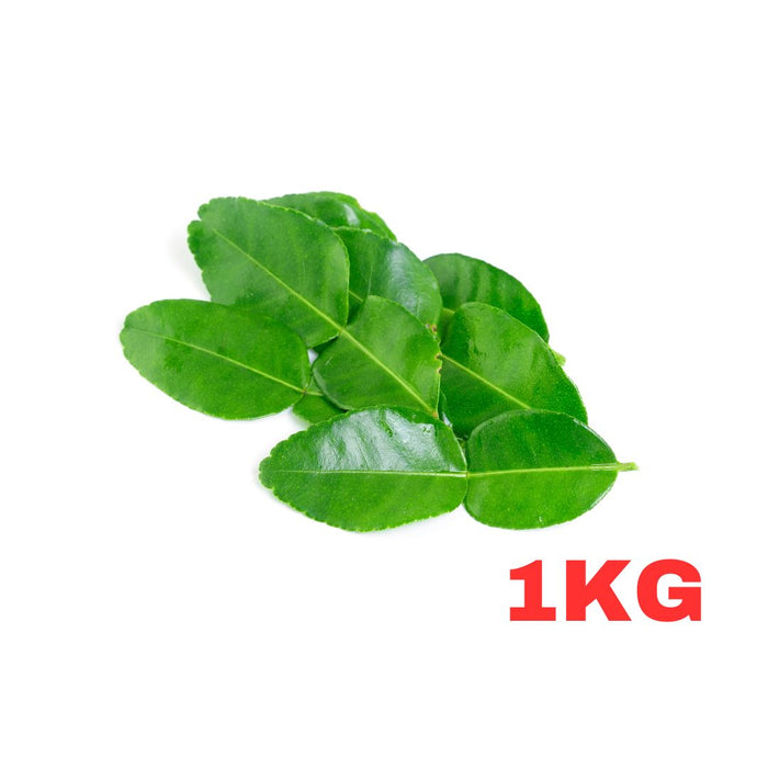 FRESH THAI KAFFIR LIME LEAF 1KG (Dispatched Monday - Thursday)