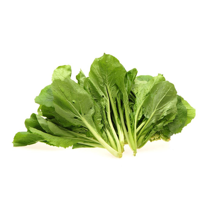 FRESH CHEN NONG LITTLE GREEN PAK CHOI 200G - Dispatched Monday To Thursday 晨農鮮蔬 (雞毛菜）