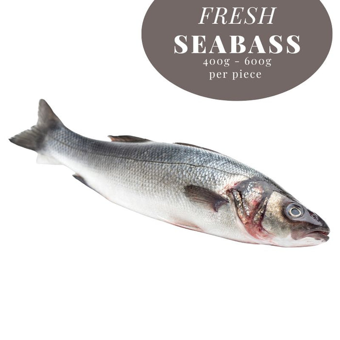 FRESH Whole SEABASS 新鲜石斑鱼 (400G-600G)