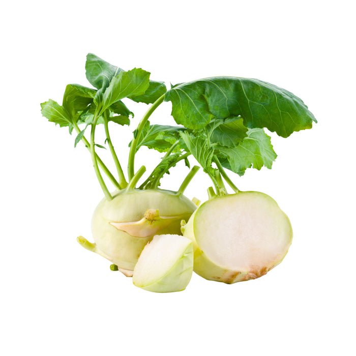 FRESH KOHLRABI (DISPATCHED MONDAY - THURSDAY)
