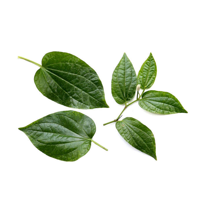 BAI CHA PLU LEAF 100G (DISPATCHED MONDAY - THURSDAY)