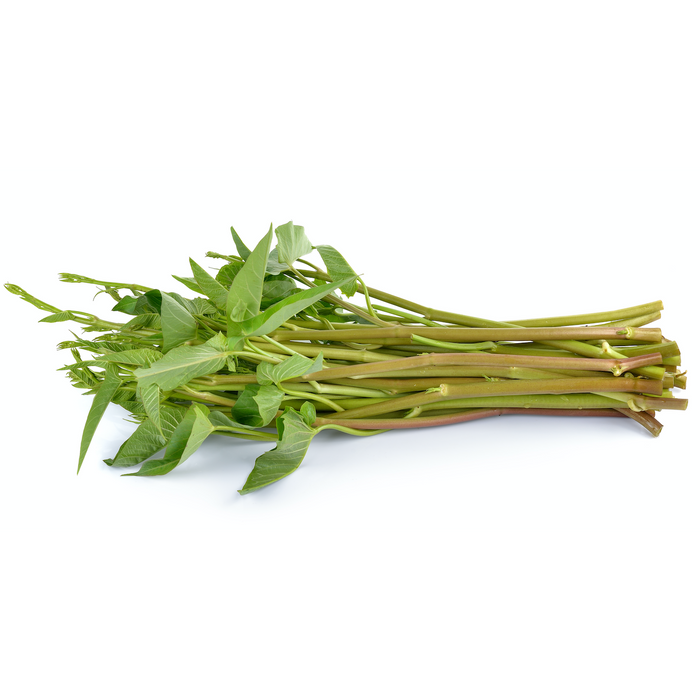 FRESH THAI MORNING GLORY ONG CHOI 200G 新鲜泰国菜 (周一至周四发货)