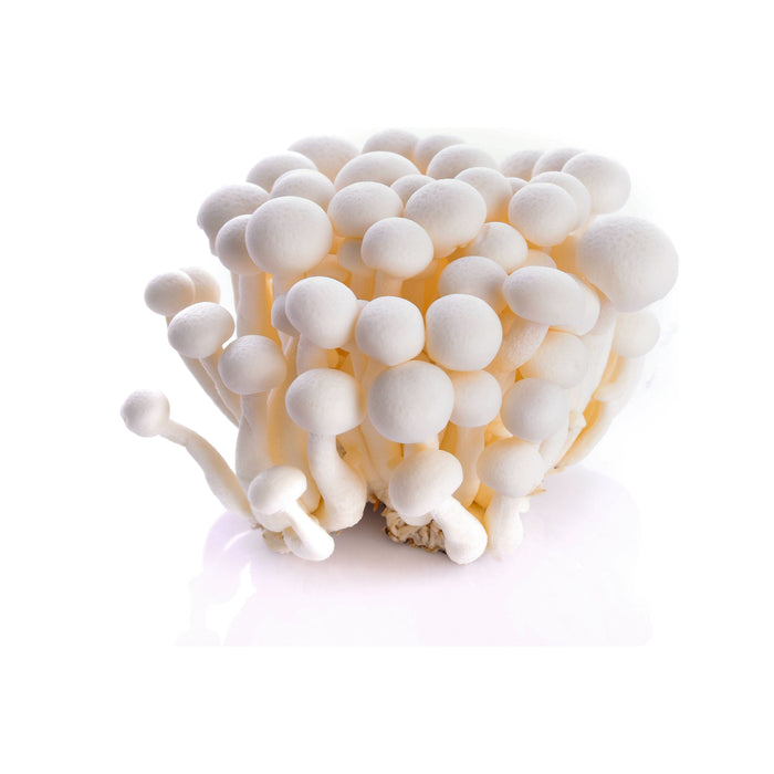 白四明菇（约 150 克）- 周一至周四发货