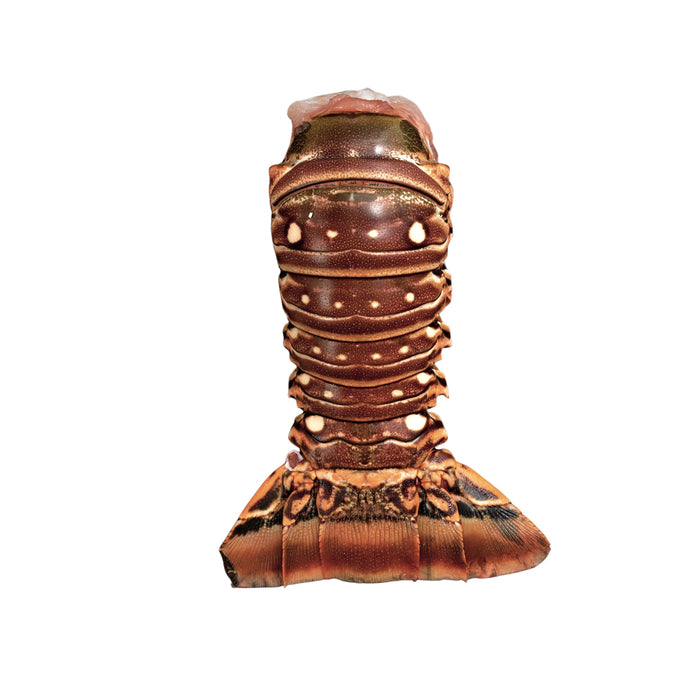 FROZEN SPINY LOBSTER TAIL