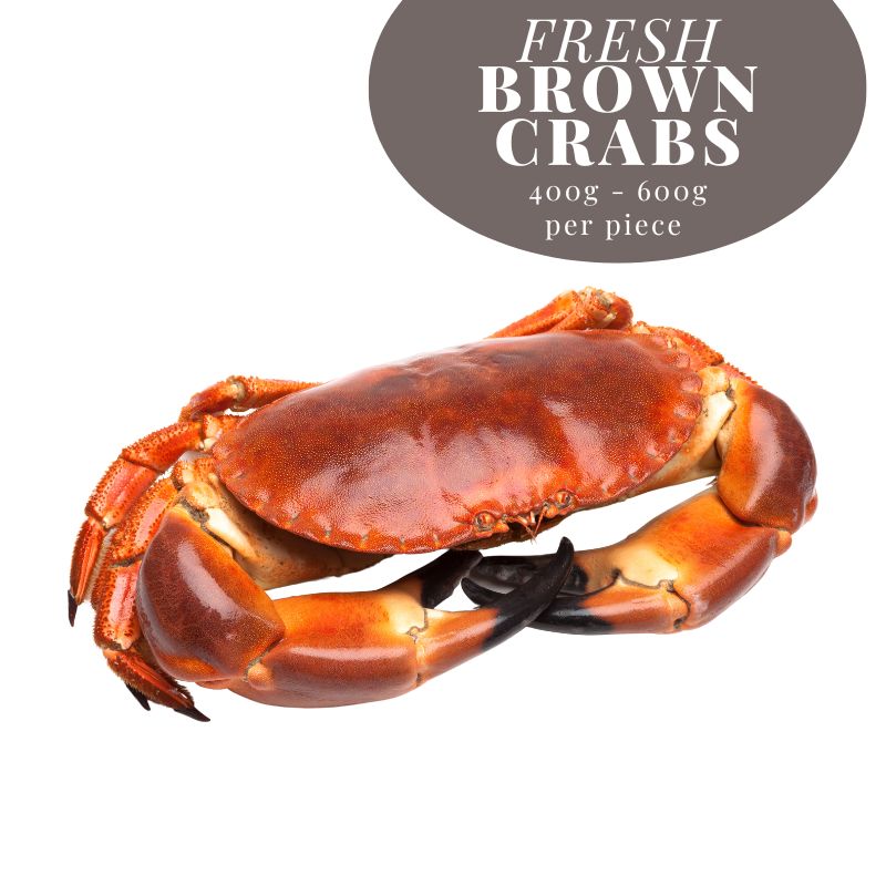 FRESH SEAFOOD - 新鮮海鮮專區