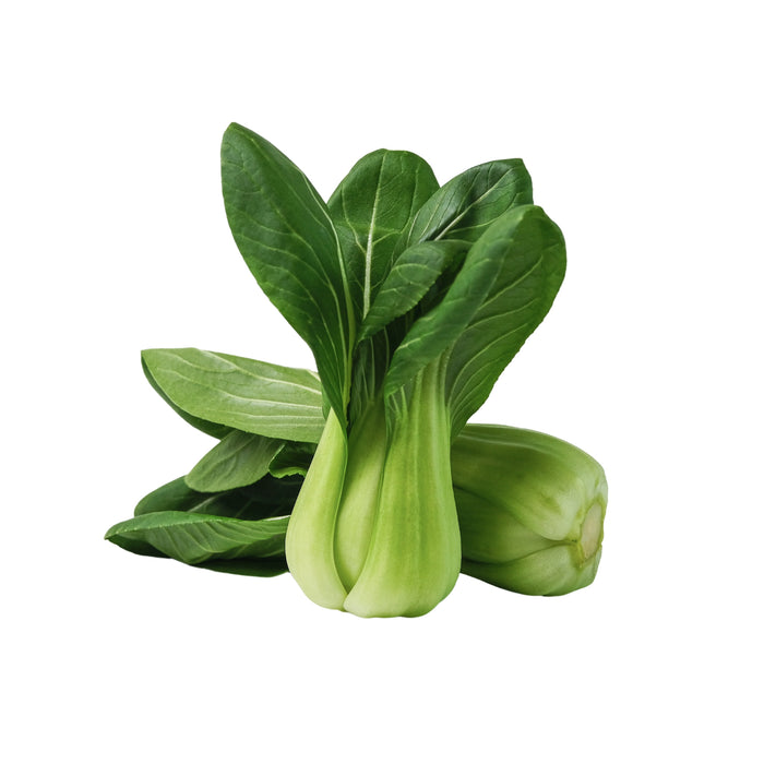 FRESH SHANGHAI GREEN PAK CHOI 500G 新鮮上海青白菜 (DISPATCHED MONDAY - THURSDAY)