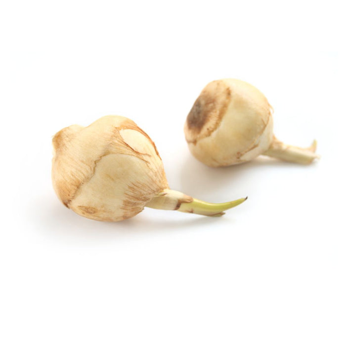ARROW HEAD APPROX 500G - 600G 新鮮芽菇 Dispatched Monday To Thursday