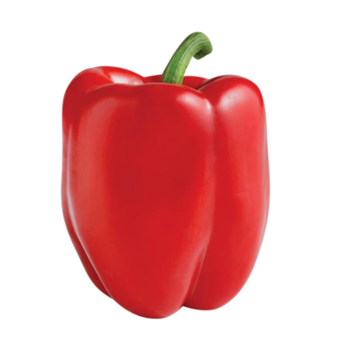 FRESH 1 SINGLE RED PEPPER - Dispatched Monday To Thursday