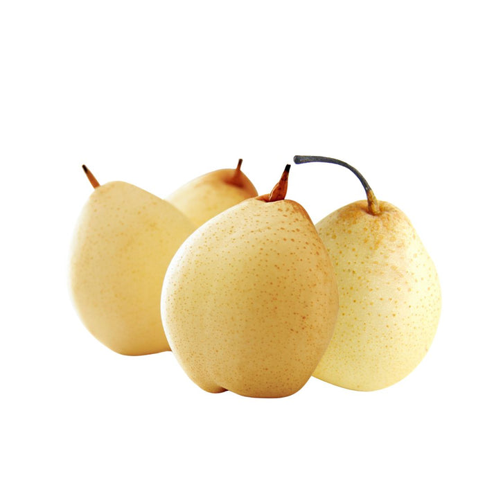 YA PEAR 鸭梨, PACK OF 4