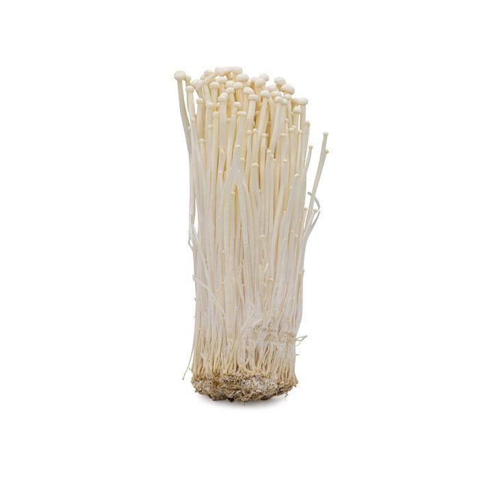 FRESH ENOKI MUSHROOMS 100G 新鮮中國金針菇 (DISPATCHED MONDAY - THURSDAY)