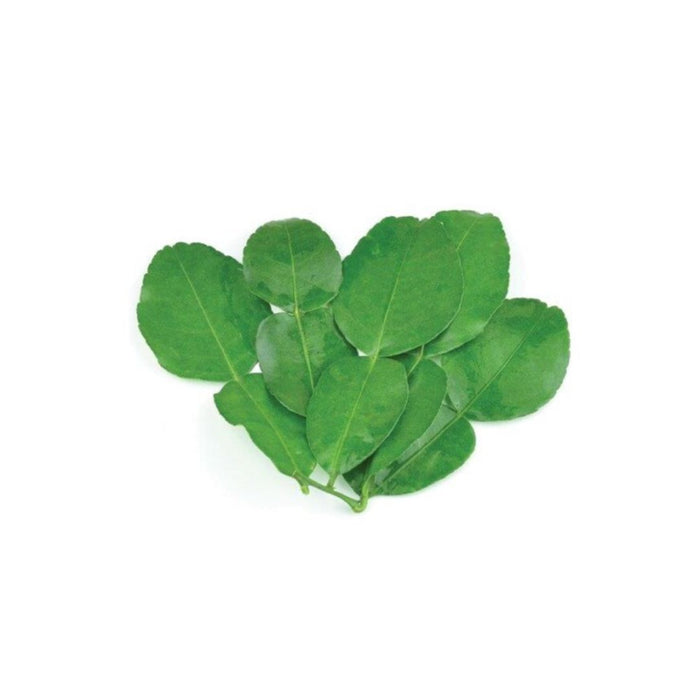 FRESH KAFFIR LIME LEAF 100G (dispatched Monday - Thursday)