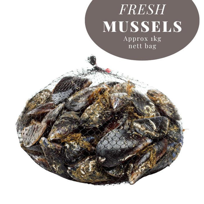 FRESH MUSSELS WEIGHTED - 1KG NET BAG - NOTTINGHAM DELIVERY ONLY! 新鮮青口