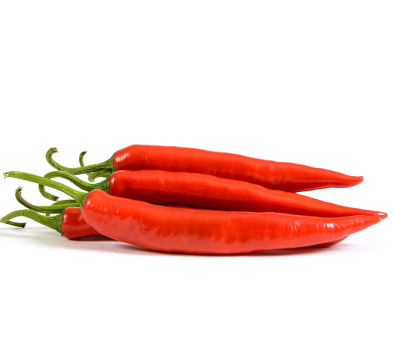 LONG RED CHILLI 100G (DISPATCHED MONDAY - THURSDAY)