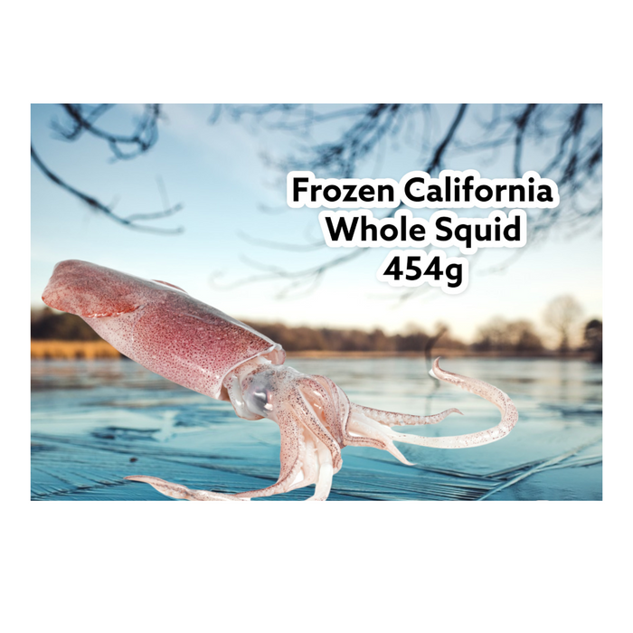 CALIFORNIAN WHOLE SQUID 454G
