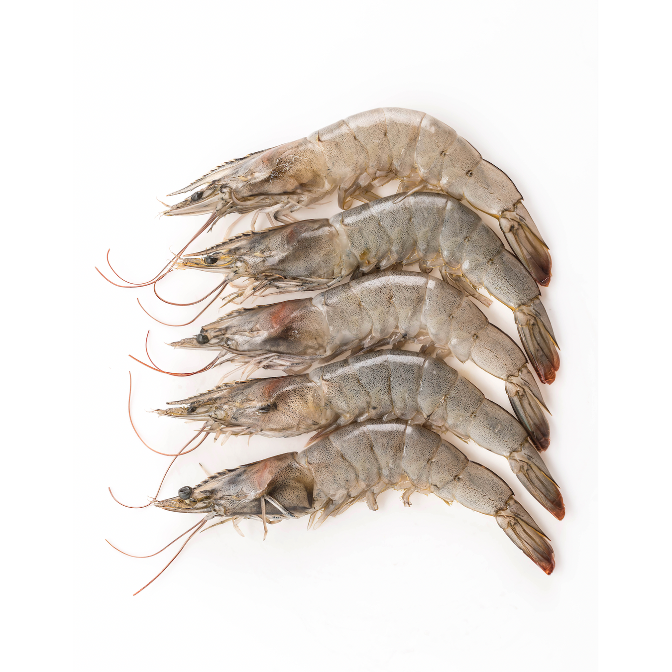 Head On Prawns