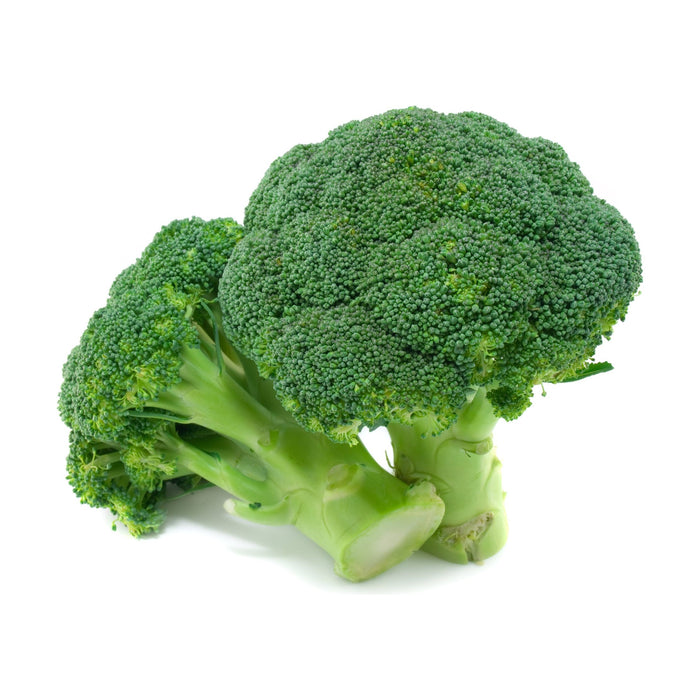 BROCCOLI SINGLE BUNCH - Dispatched Monday To Thursday